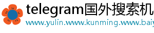 telegram国外搜索机器人